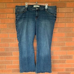 Torrid bootcut jeans